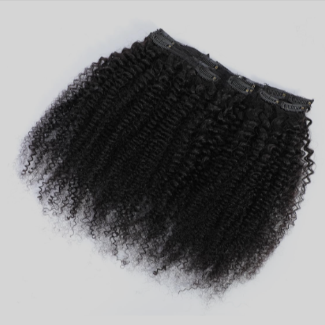 Afro Kinky Curly Clip-ins